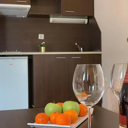 Banderitsa Studio Bansko 2 * Бансько